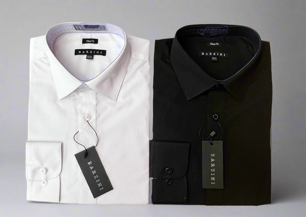 Barzini Slim Fit Men's Dress Shirt